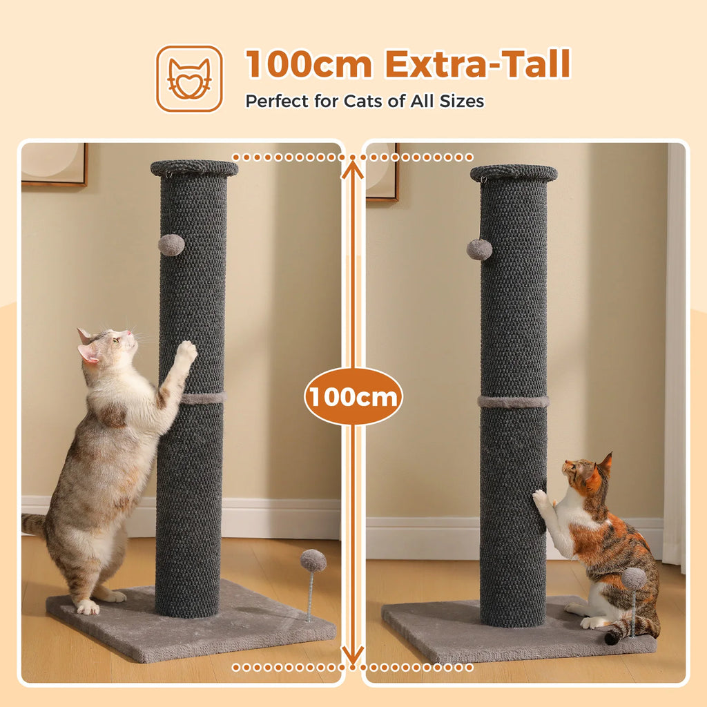 Tall Cat Scratching Posts for Indoor Cats Adults Large Cat Scratcher with Thicker Scratching Posts Dangling Ball Reinforced Stable Base Heavy Duty Scratching Post Cat Toy