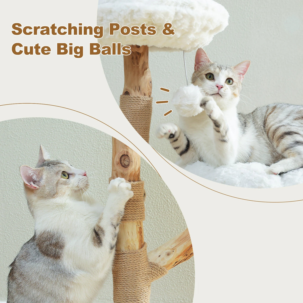 Flower Cat Tree for Indoor Cats Modern Wood Cat Tower with 2 Perches Sisal Scratching Post Scraper for Cat Accessories Cat Toys