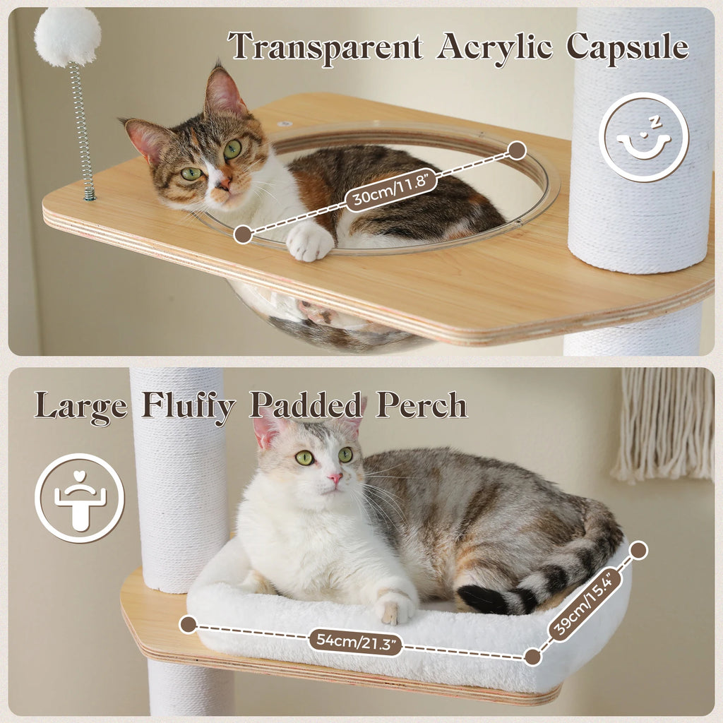 Floor to Ceiling Cat Tree for Indoor Height Adjustable Cat Tower with Sisal Scratching Posts Large Condo Acrylic Capsule Washable Mats Modern Wood Cat Furniture Cat Toys