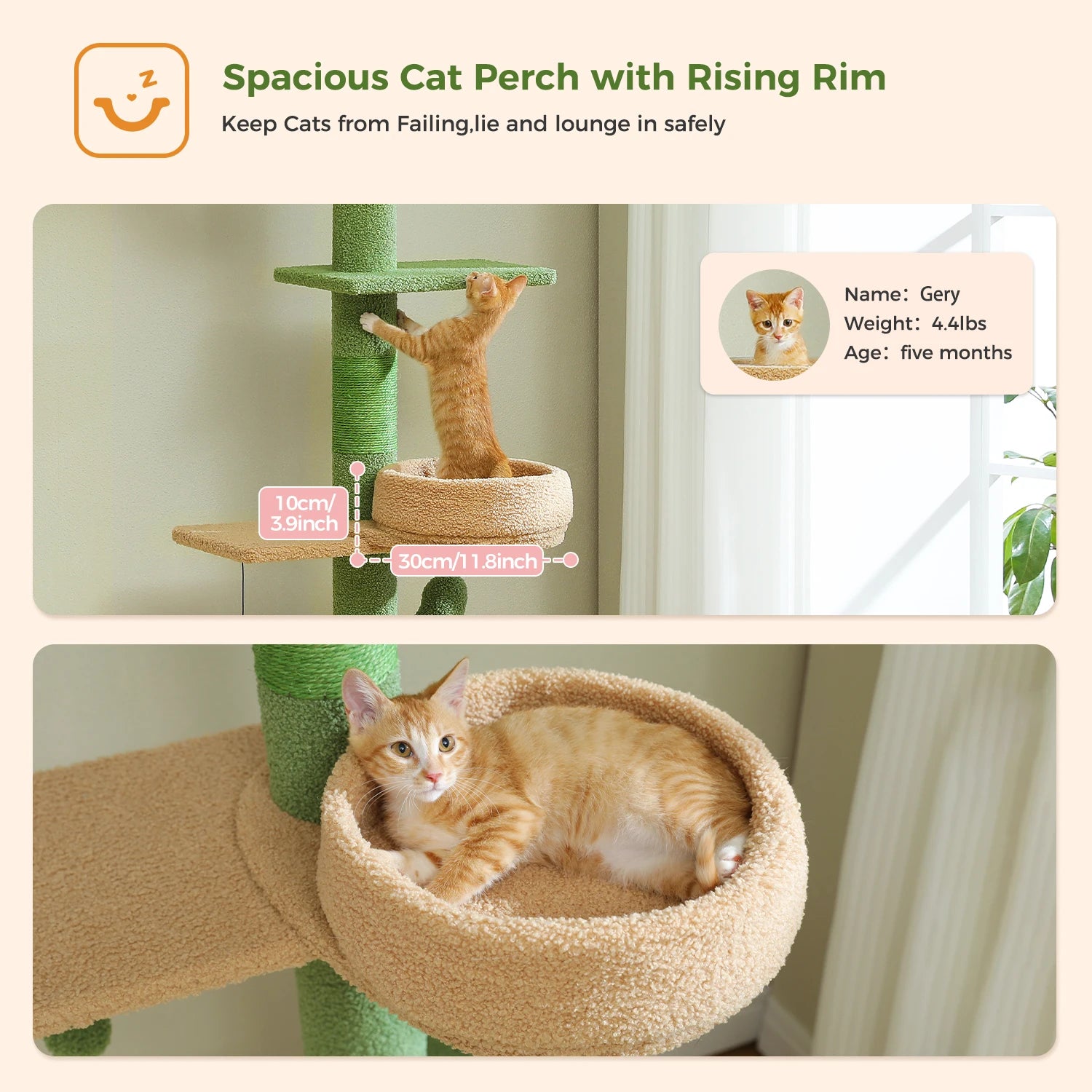Height Adjustable Cactus Cat Tree with Cozy Hammock, Platforms and Dangling Balls, Floor to Ceiling Cactus Tower, Cat Toys