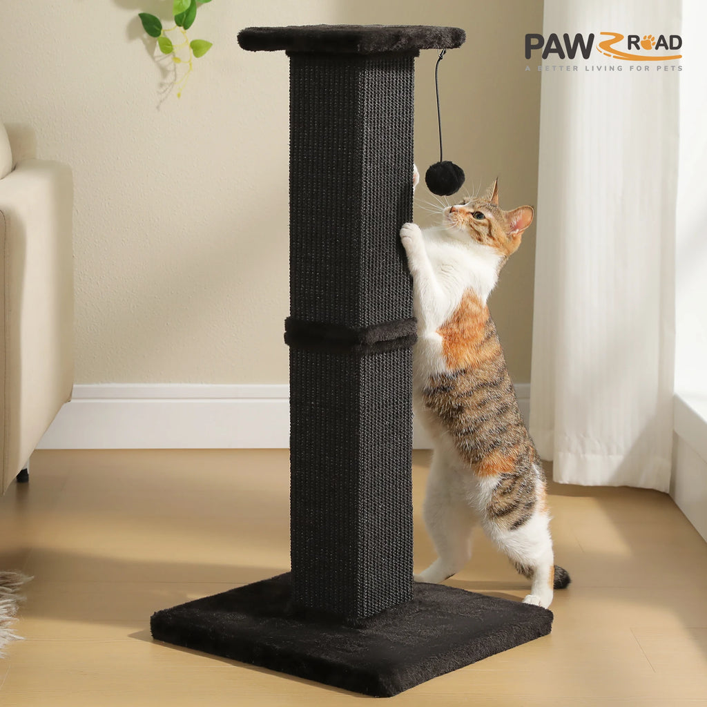 Large Cat Scratching Post with Woven Sisal Heavy Duty Base and Removable Dangling Ball Tall Cat Scratcher for Indoor Cats Adults Ultimate Scratch Post Cat Toys