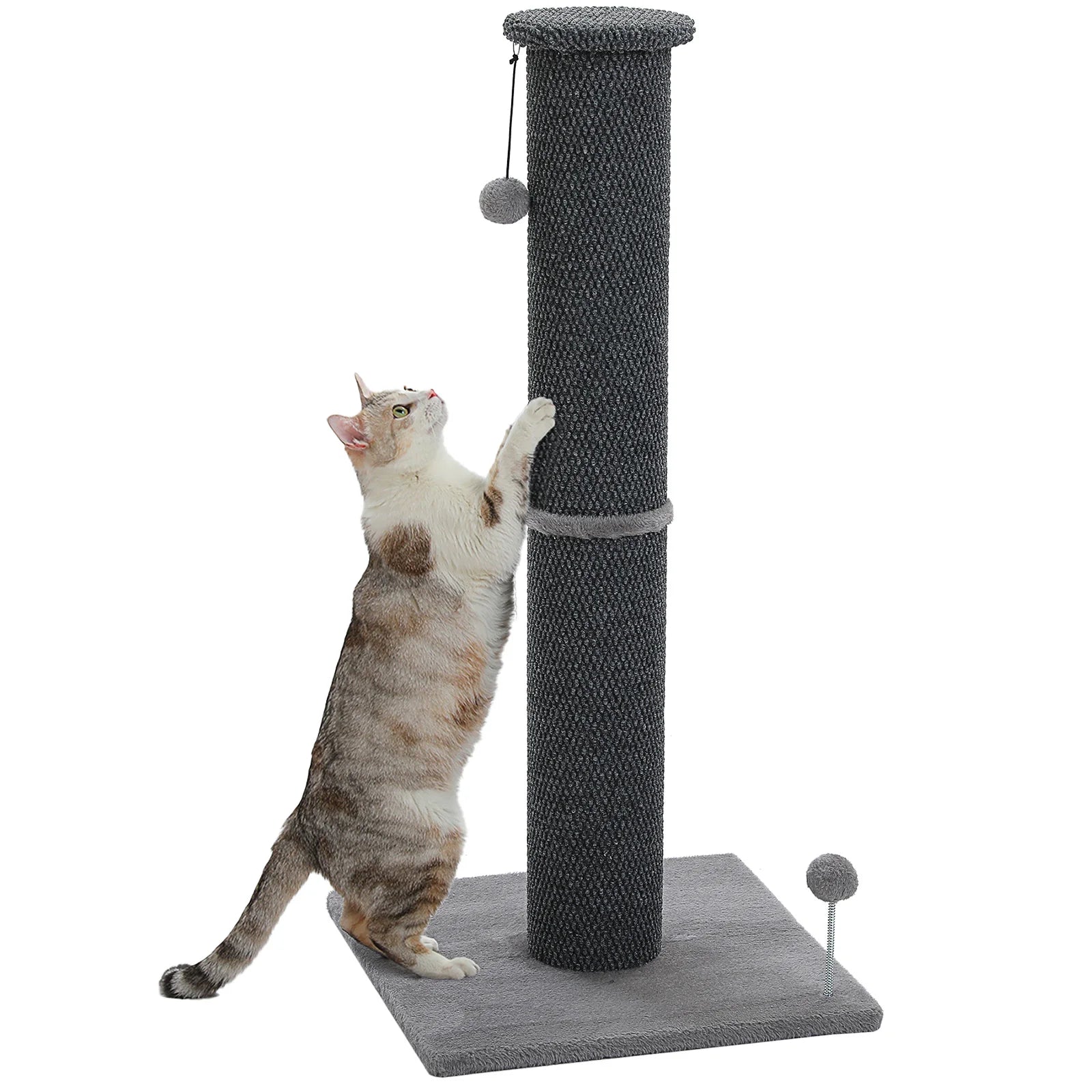 Tall Cat Scratching Posts for Indoor Cats Adults Large Cat Scratcher with Thicker Scratching Posts Dangling Ball Reinforced Stable Base Heavy Duty Scratching Post Cat Toy